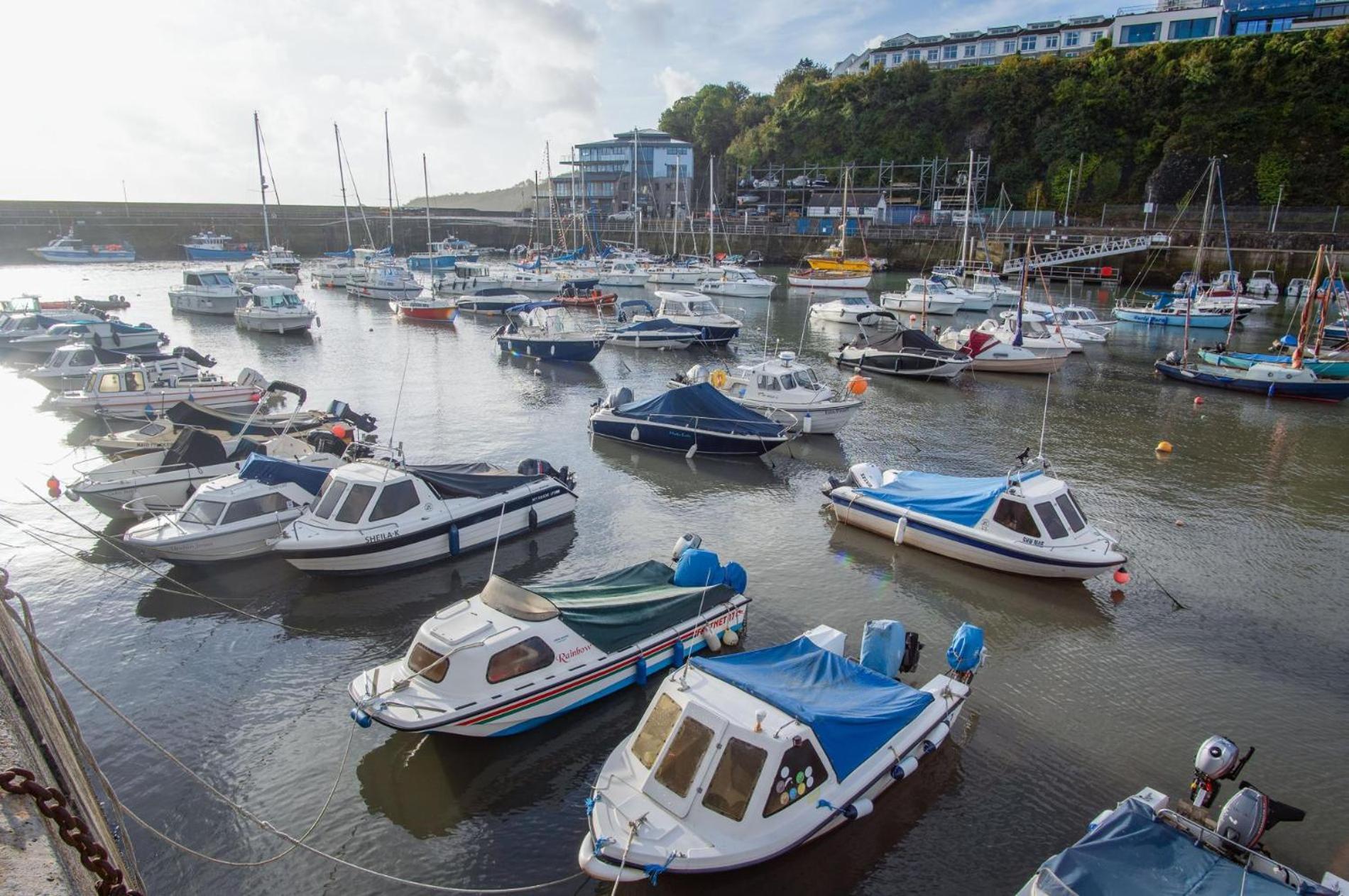 Ocean Cabins No 3 At The Square - Saundersfoot Cameră foto