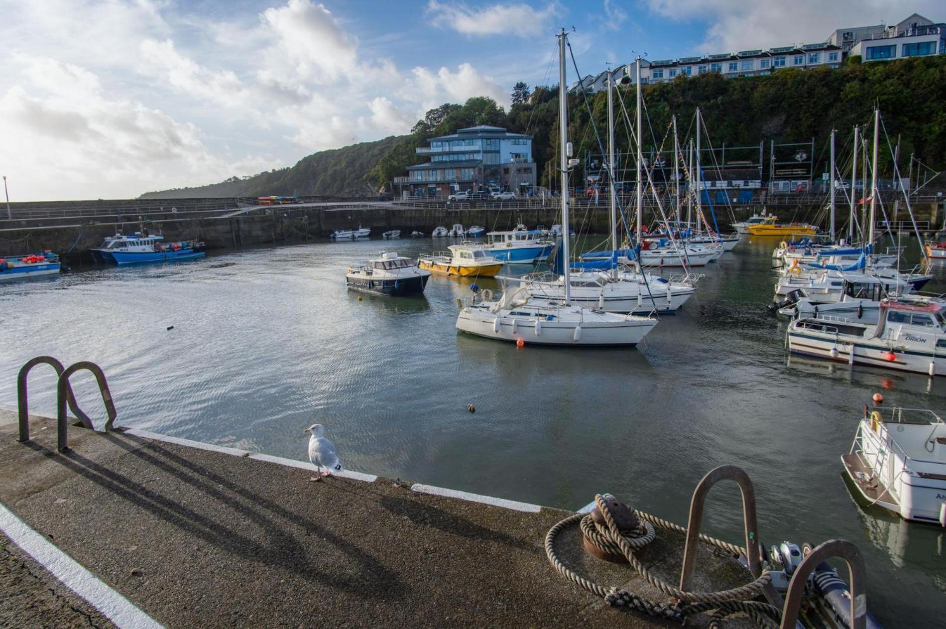 Ocean Cabins No 3 At The Square - Saundersfoot Cameră foto
